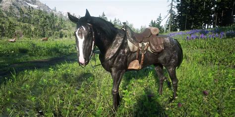 rdr2 horse guide|rdr2 horse handling differences.